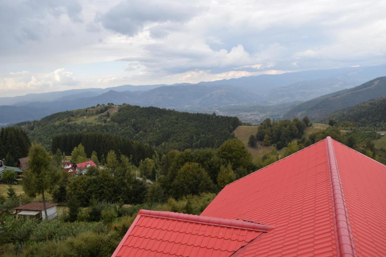 Pensiunea Bujor De Munte Petroşani Buitenkant foto